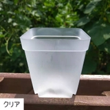 植木鉢 フラワーポット プラ鉢 | PlusNao | 詳細画像19