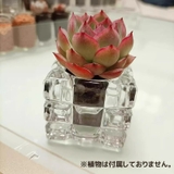 ミニ植木鉢 3個セット キャンドルホルダー | PlusNao | 詳細画像2