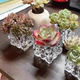 ミニ植木鉢 3個セット キャンドルホルダー | PlusNao | 詳細画像3