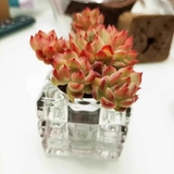 ミニ植木鉢 3個セット キャンドルホルダー | PlusNao | 詳細画像4