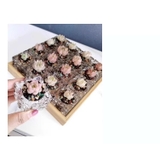 ミニ植木鉢 3個セット キャンドルホルダー | PlusNao | 詳細画像8