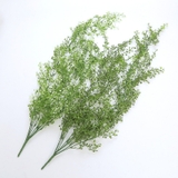 フェイクグリーン 人工観葉植物 造花 | PlusNao | 詳細画像2