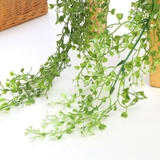 フェイクグリーン 人工観葉植物 造花 | PlusNao | 詳細画像6