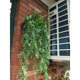フェイクグリーン 人工観葉植物 造花 | PlusNao | 詳細画像7