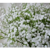 造花 フェイクフラワー 1本 | PlusNao | 詳細画像7 