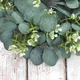 グリーンリース リース 壁飾り | PlusNao | 詳細画像14