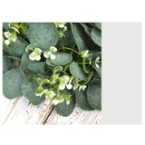 グリーンリース リース 壁飾り | PlusNao | 詳細画像16