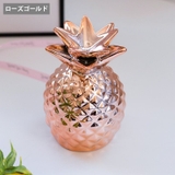 貯金箱 パイナップル 置き物 | PlusNao | 詳細画像11