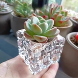 花瓶 フラワーポット フラワーベース | PlusNao | 詳細画像2 