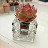 花瓶 フラワーポット フラワーベース | PlusNao | 詳細画像9 