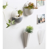壁掛けプランター ミニプランター 単品 | PlusNao | 詳細画像5 