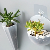 壁掛けプランター ミニプランター 単品 | PlusNao | 詳細画像7 