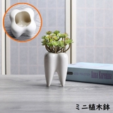 ミニ植木鉢 フラワーポット 園芸用品 | PlusNao | 詳細画像1
