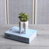 ミニ植木鉢 フラワーポット 園芸用品 | PlusNao | 詳細画像5