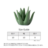 アクセサリトレイ アクセサリースタンド グリーン風 | PlusNao | 詳細画像9 