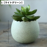 花瓶 フラワーポット 単品 | PlusNao | 詳細画像4