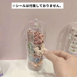 シュシュ収納ケース 単品 1個 | PlusNao | 詳細画像3 