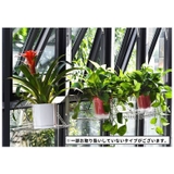 物干しハンガー 洗濯用品 収納ハンガー | PlusNao | 詳細画像8 