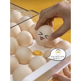 卵ケース 卵入れ エッグホルダー | PlusNao | 詳細画像11 