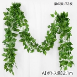 フェイクグリーン 5本セット 人工観葉植物 | PlusNao | 詳細画像6