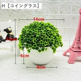 フェイクグリーン 人工観葉植物 造花 | PlusNao | 詳細画像18