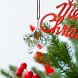 サンキャッチャー インテリア 屋内装飾 | PlusNao | 詳細画像13 