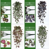 フェイクグリーン 人工観葉植物 観葉植物 | PlusNao | 詳細画像20