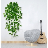 フェイクグリーン 人工観葉植物 観葉植物 | PlusNao | 詳細画像3
