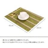 ランチョンマット テーブルマット 45cm | PlusNao | 詳細画像14 