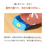 バランスホッピング ホッピング 跳ねる | PlusNao | 詳細画像2