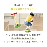 バランスホッピング ホッピング 跳ねる | PlusNao | 詳細画像3