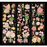 シール ステッカー 3枚セット | PlusNao | 詳細画像2
