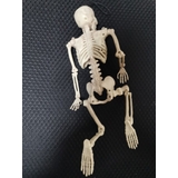 ハロウィン用品 室内装飾 ガイコツ | PlusNao | 詳細画像10