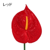 造花 フェイクフラワー 1本 | PlusNao | 詳細画像14