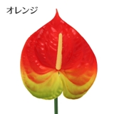 造花 フェイクフラワー 1本 | PlusNao | 詳細画像17