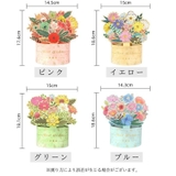 グリーティングカード メッセージカード バースデーカード | PlusNao | 詳細画像11