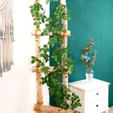 フェイクグリーン 造花 インテリア雑貨 | PlusNao | 詳細画像2 