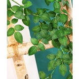 フェイクグリーン 造花 インテリア雑貨 | PlusNao | 詳細画像6 