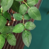 フェイクグリーン 造花 インテリア雑貨 | PlusNao | 詳細画像9 