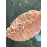 シャワーキャップ 防水キャップ お風呂キャップ | PlusNao | 詳細画像5