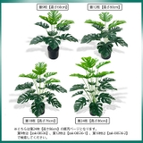 フェイクグリーン 人工観葉植物 造花 | PlusNao | 詳細画像6