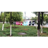 物干しロープ 洗濯ひも クリップ付き | PlusNao | 詳細画像3