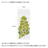 フレークシール ステッカー 6枚セット | PlusNao | 詳細画像20 