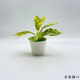 フェイクグリーン 人口観葉植物 造花 | PlusNao | 詳細画像11