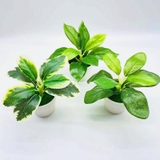 フェイクグリーン 人口観葉植物 造花 | PlusNao | 詳細画像2