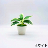 フェイクグリーン 人口観葉植物 造花 | PlusNao | 詳細画像9