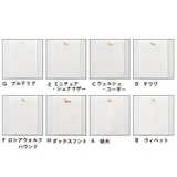 便箋 2冊セット 大人 | PlusNao | 詳細画像4 