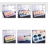 卵ケース 卵入れ エッグホルダー | PlusNao | 詳細画像8 