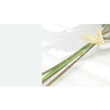 造花 フェイクフラワー アーティフィシャルフラワー | PlusNao | 詳細画像14 