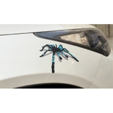 カーステッカー カッティングステッカー ボディステッカー | PlusNao | 詳細画像5